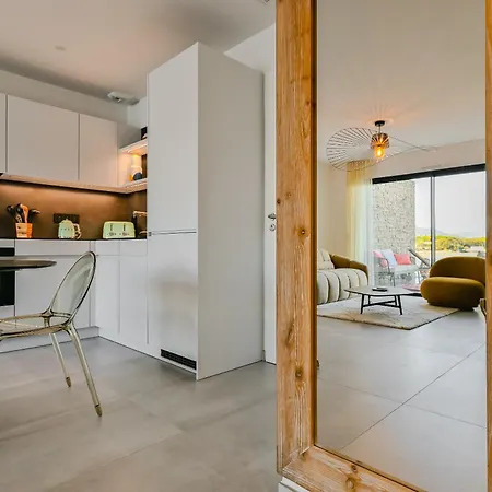 T2 Luxe Pieds Dans L'eau Porticcio