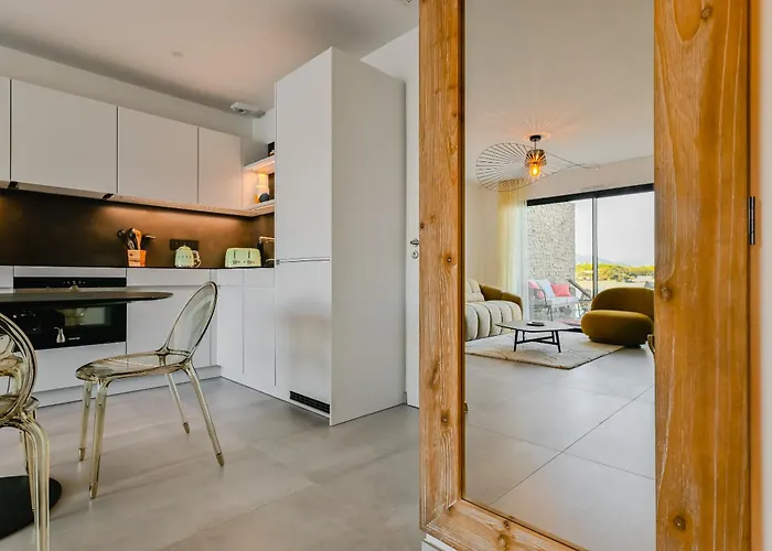 T2 Luxe Pieds Dans L'eau Porticcio